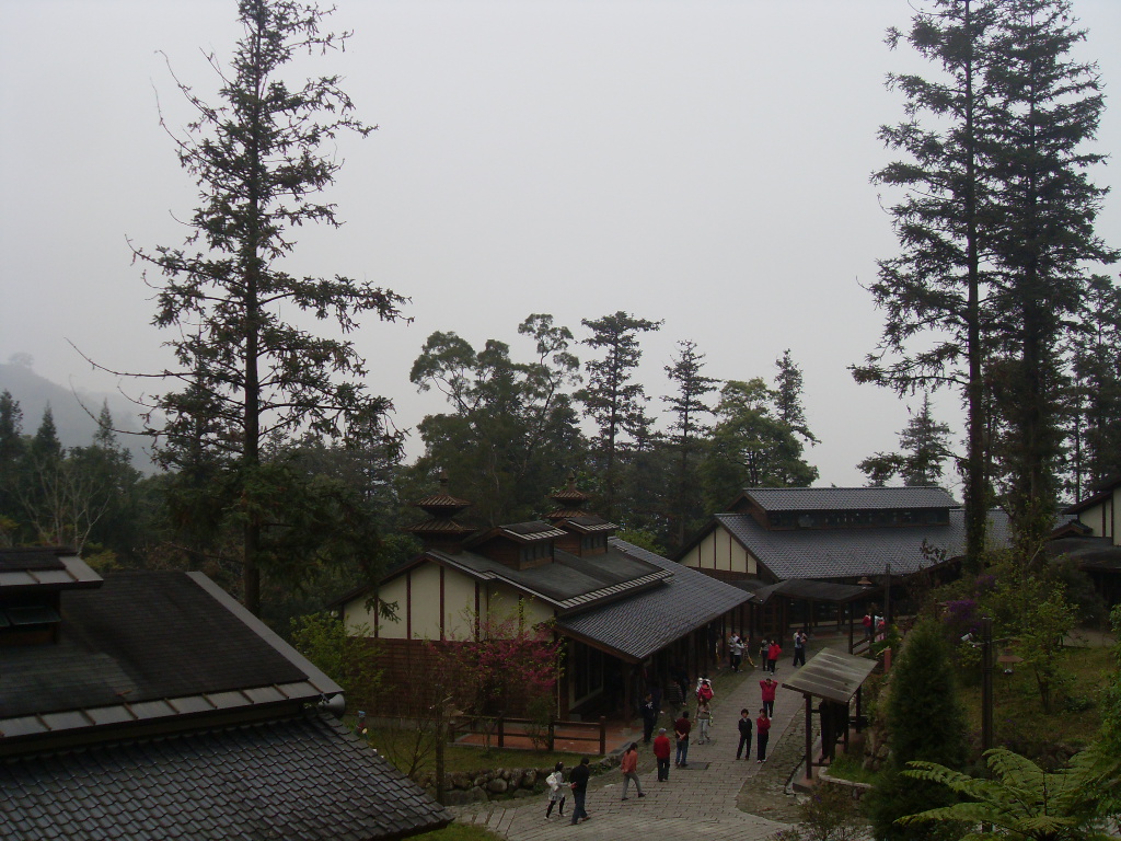 SDC18393
