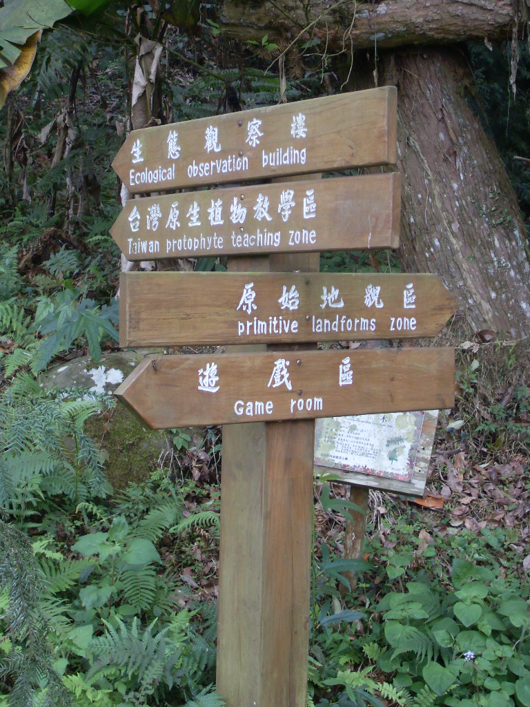 SDC18395