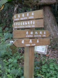 SDC18395