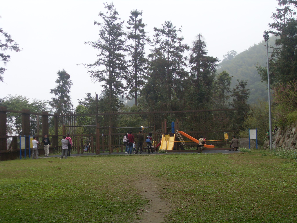 SDC18396