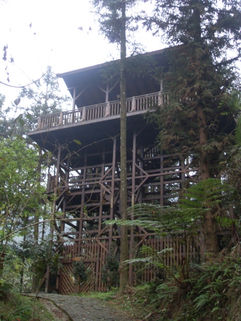 SDC18397