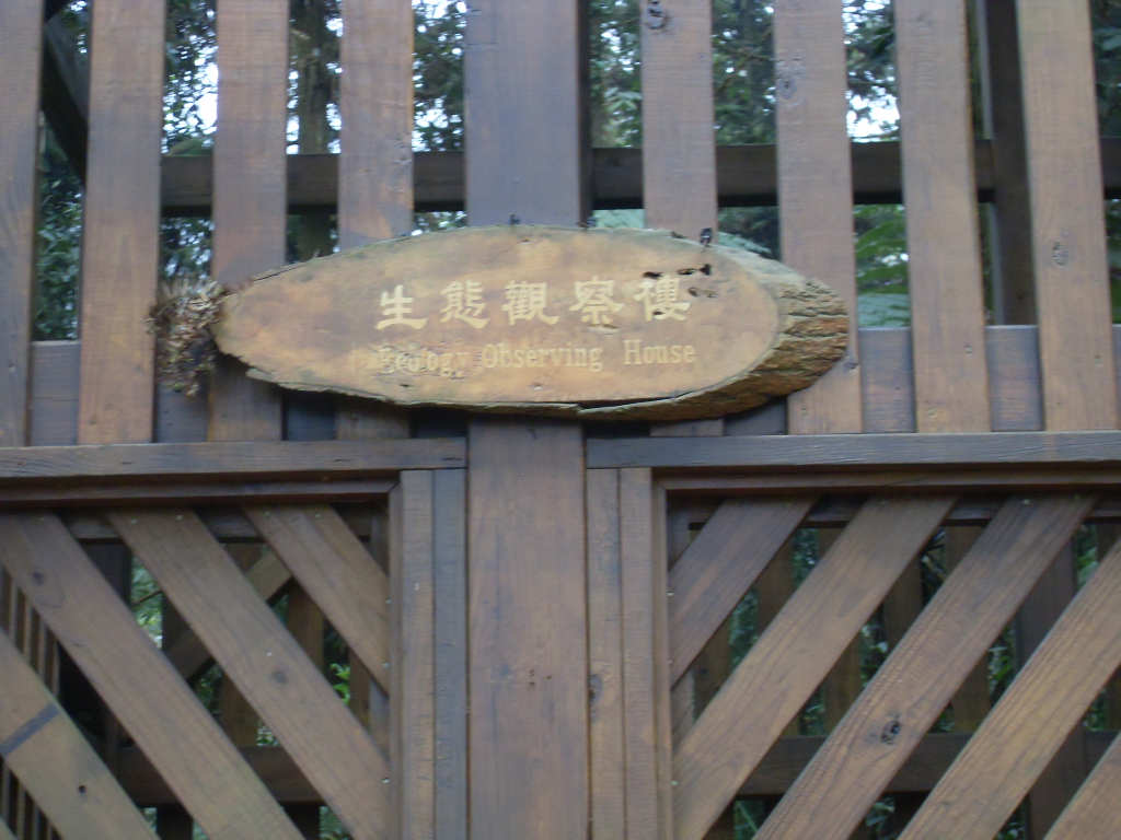 SDC18401