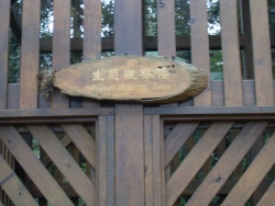 SDC18401
