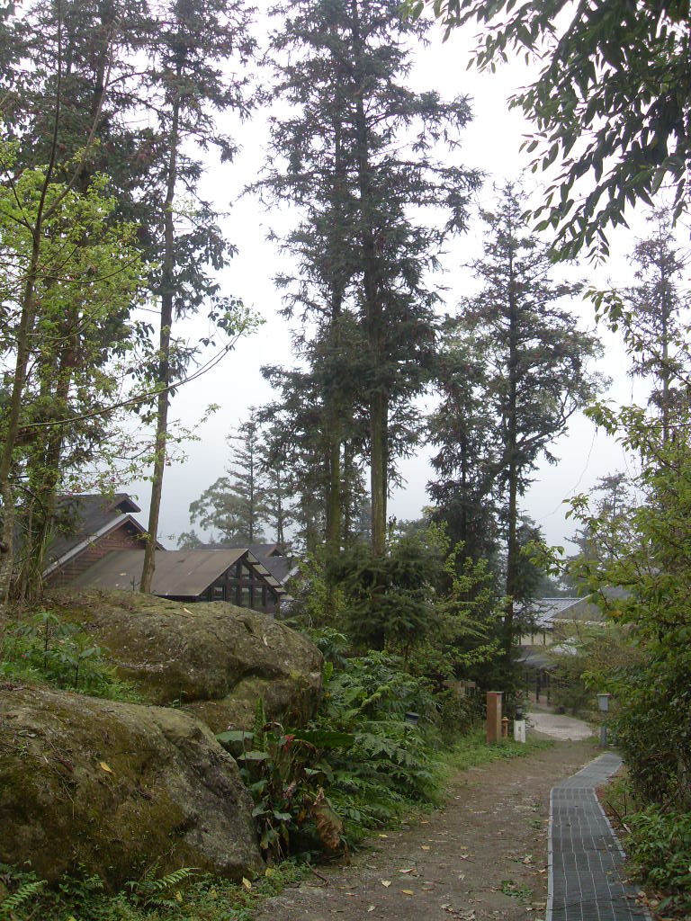 SDC18405