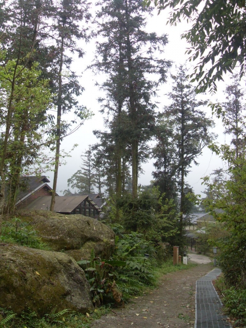 SDC18405