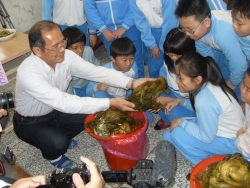 自製酸菜成果品嘗