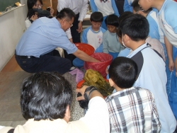 SDC18516