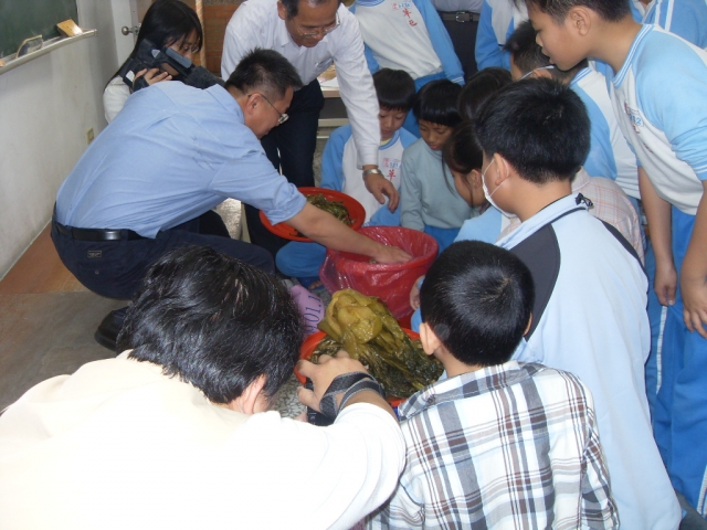 SDC18517