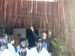 SDC18642