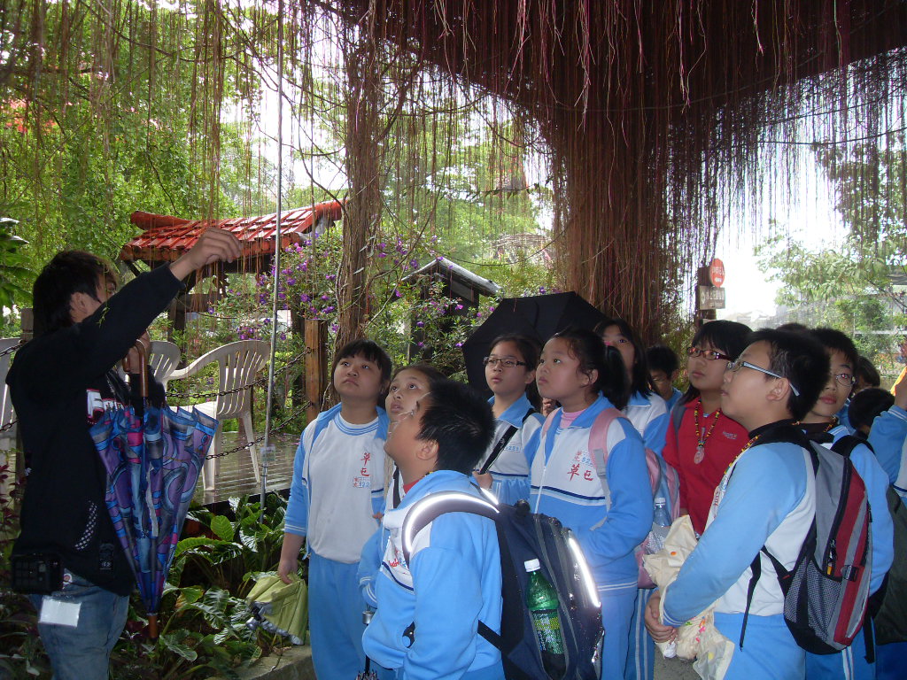 SDC18643