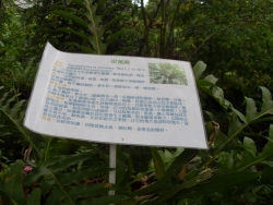 SDC18652