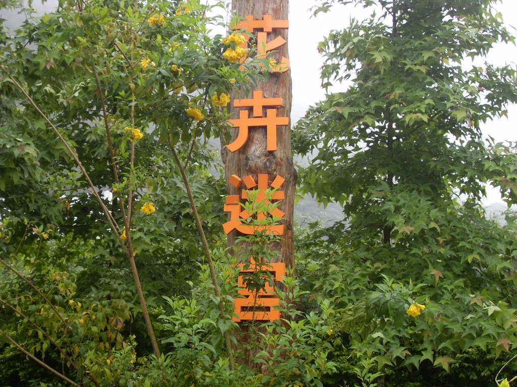 SDC18668