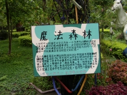 SDC18669