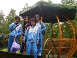 SDC18674