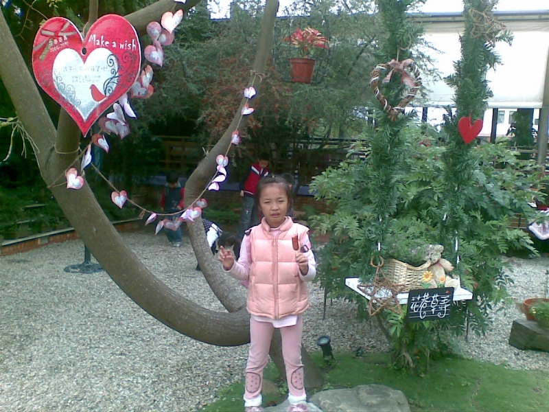 20100101(001)
