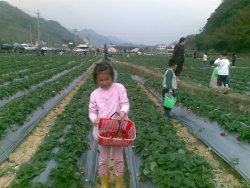 20100101(009)