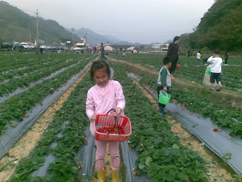 20100101(009)