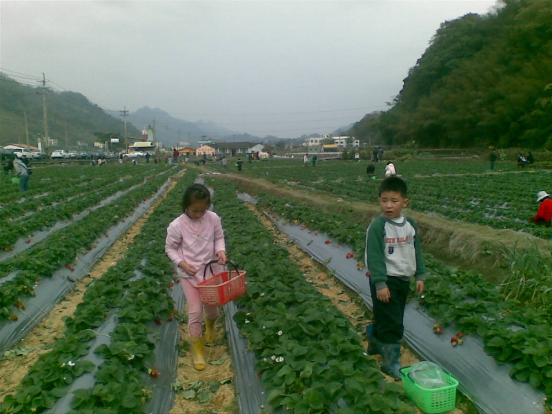 20100101(013)