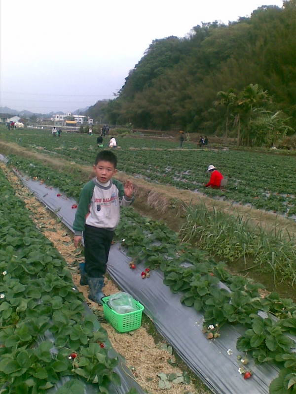20100101(014)
