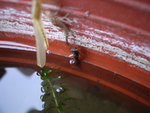 R0011386