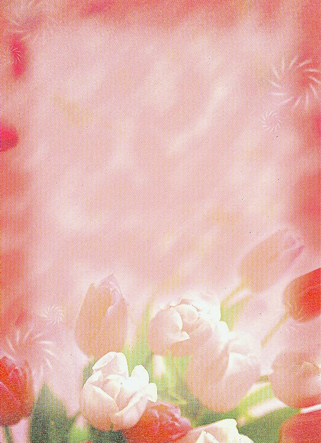 盆花底圖01001