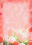 底圖