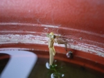R0011387