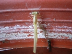 R0011388