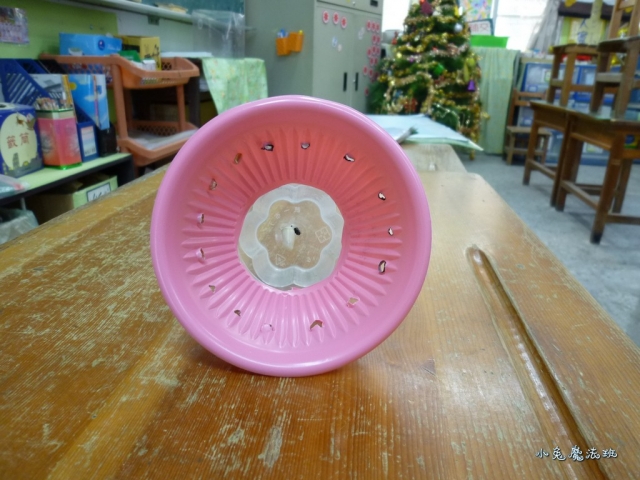 20101224pm (7)