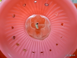 20101229am(1)