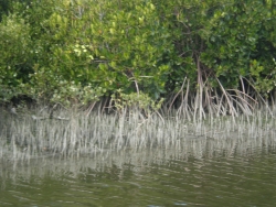 P1131396