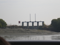 P1131397
