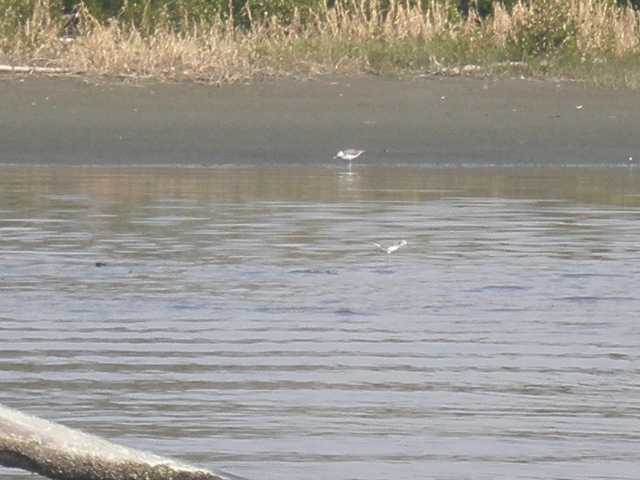 P1131430