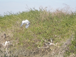 P1131438
