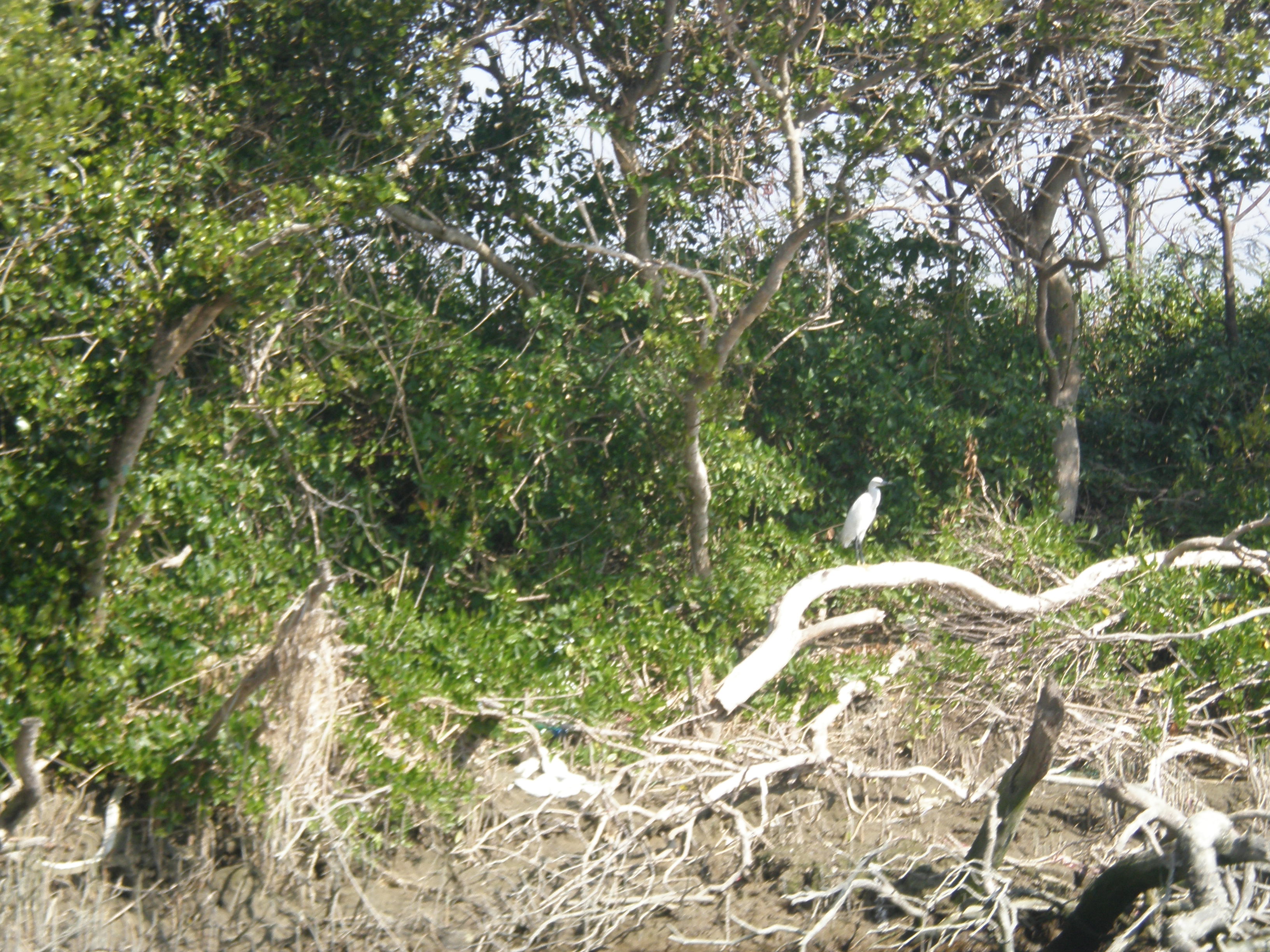 P1131442