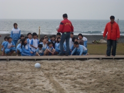 SDC19733