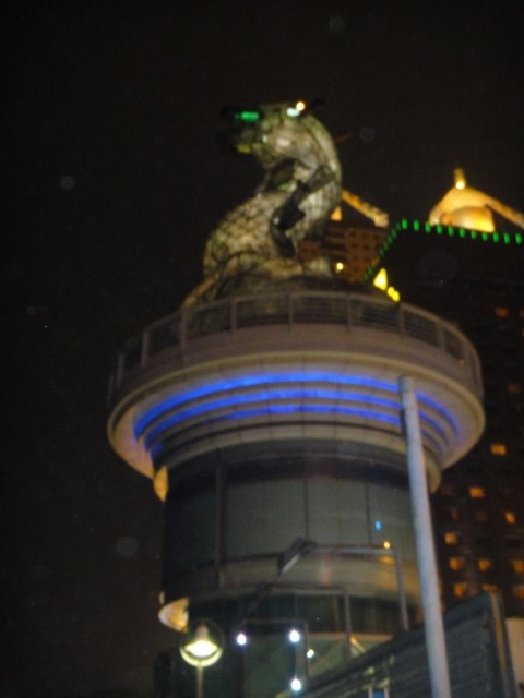 DSC00170