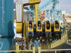 SDC19767