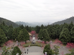 DSC00049
