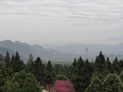 DSC00050