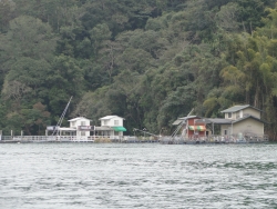 DSC00074