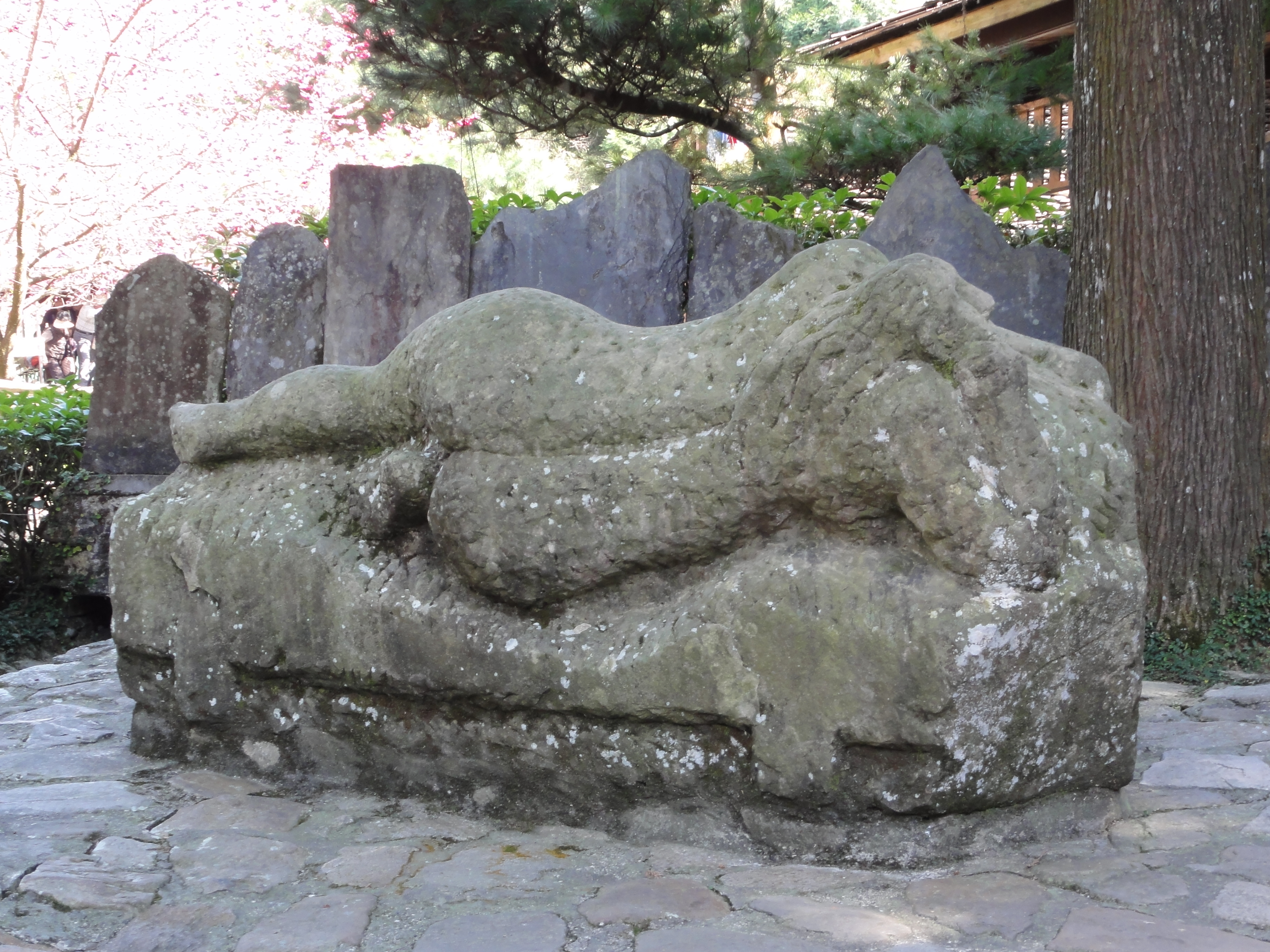 DSC00090