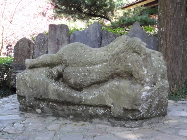 DSC00090