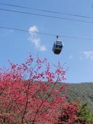 DSC00091