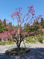 DSC00098