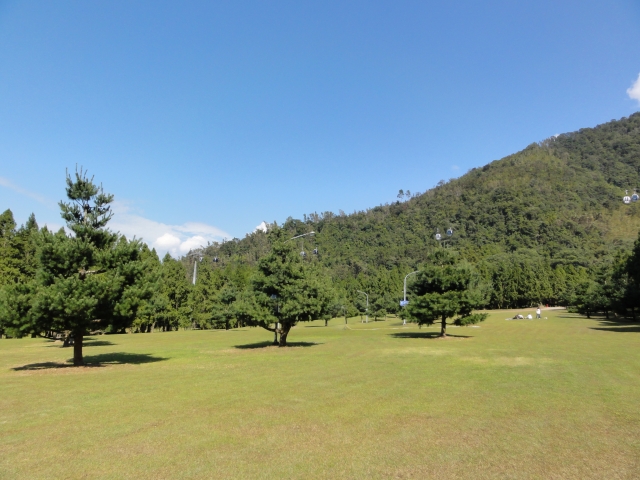 DSC00101