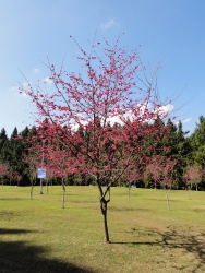 DSC00107