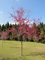 DSC00108