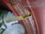 R0011369