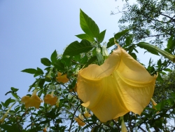 P1070645